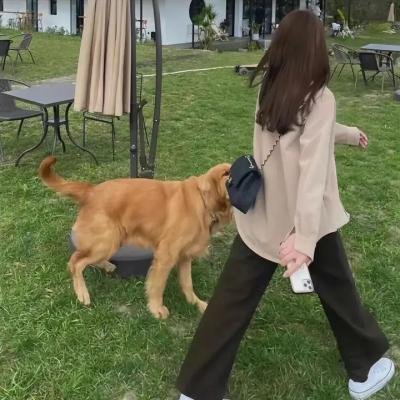 岁月无声
